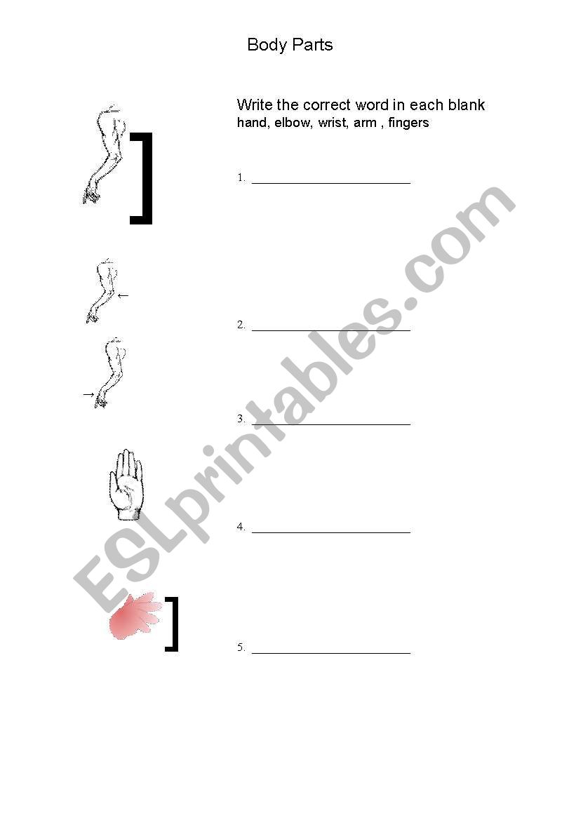 Body Parts 2 worksheet