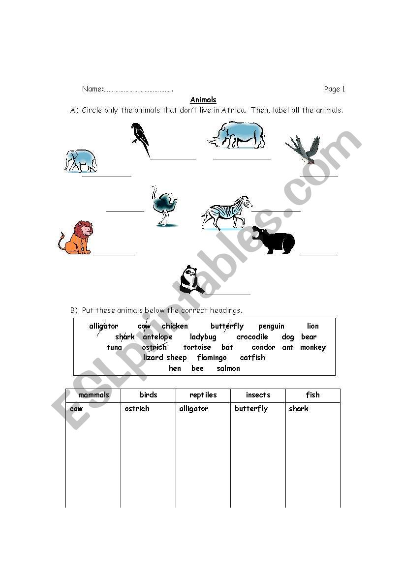 Animals worksheet