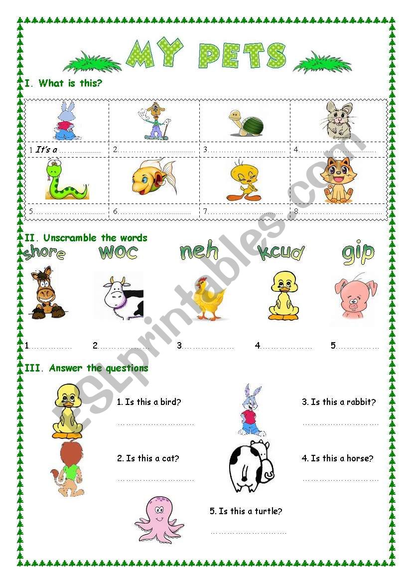 My Pets worksheet