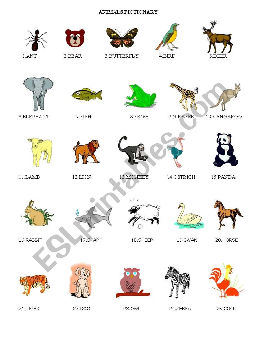 ANIMAL PICTIONARY worksheet