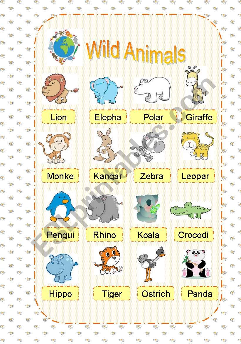 wild animals picture dictionary