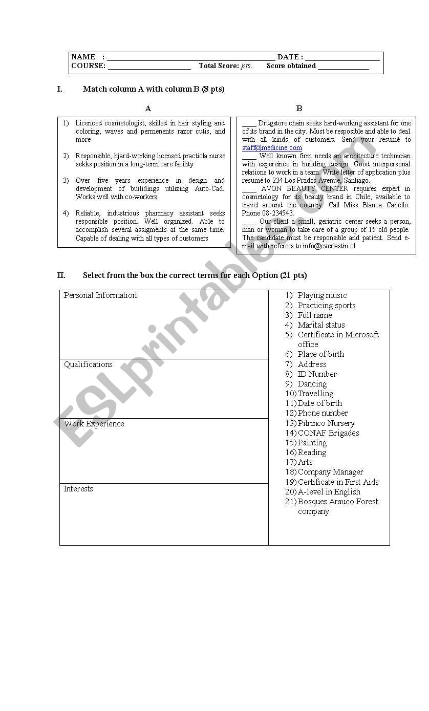 Curriculum Vitae worksheet