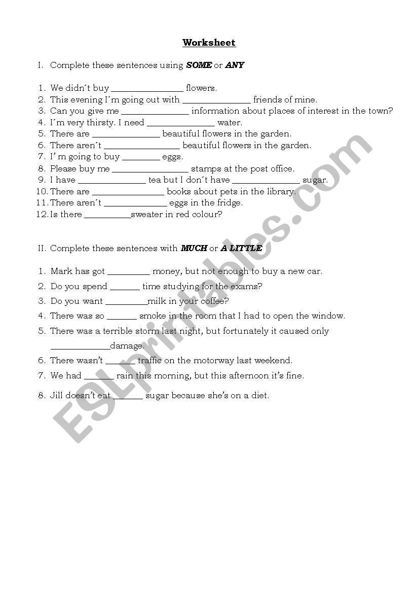 Some Any Much A little worksheet