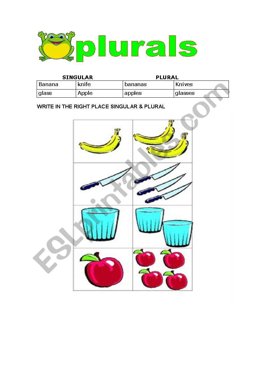 singular and plural  worksheet