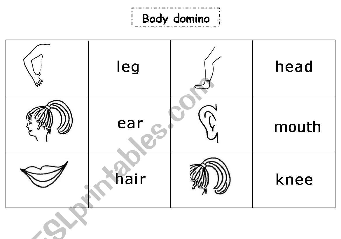 Body domino worksheet