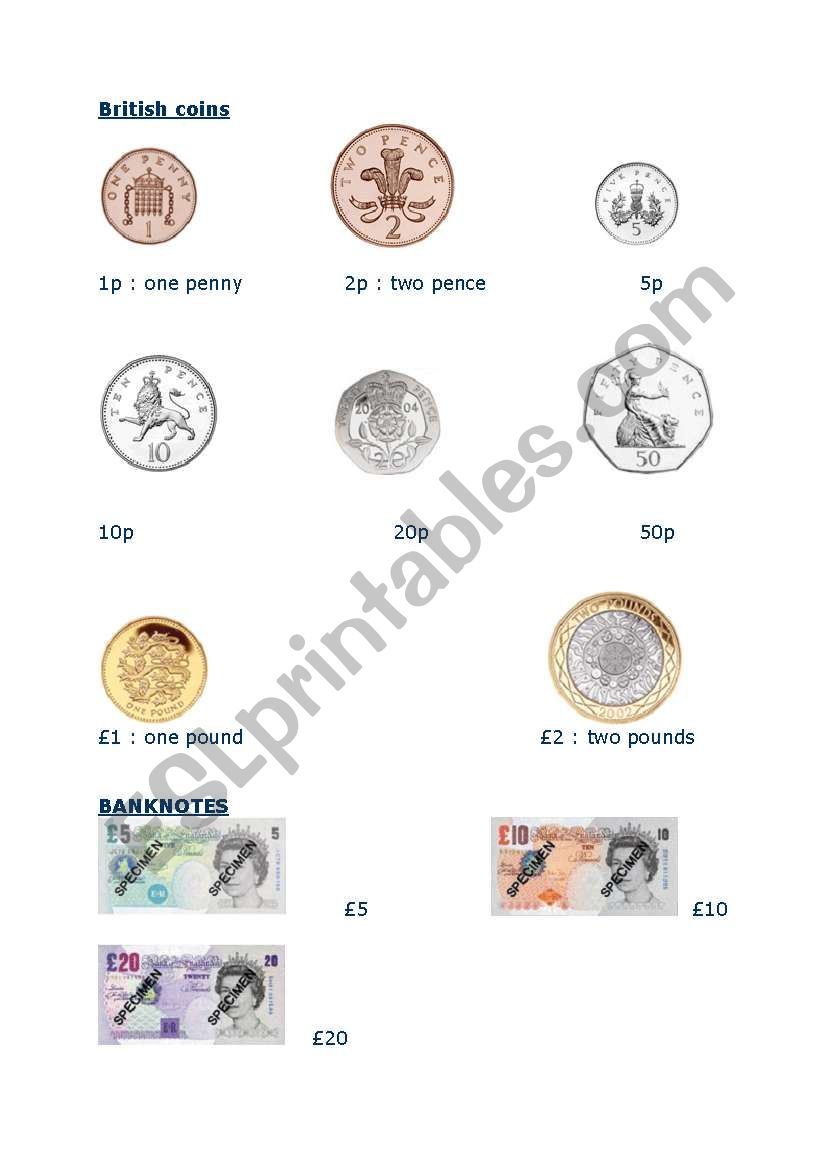 coin worksheet