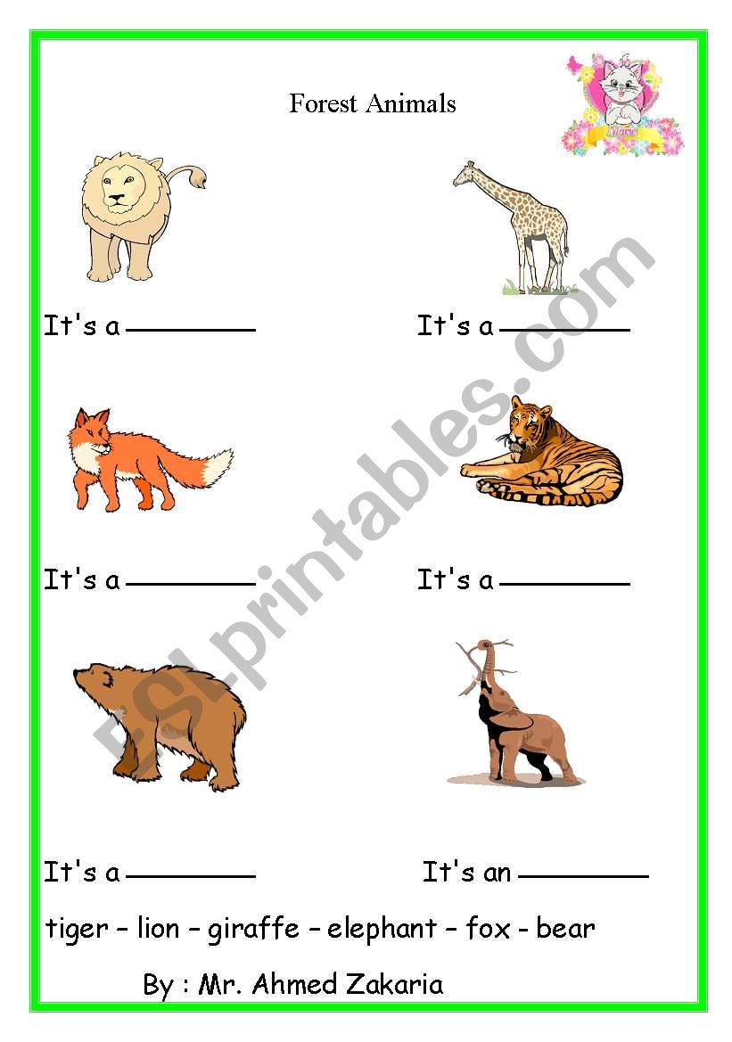 forest animals worksheet