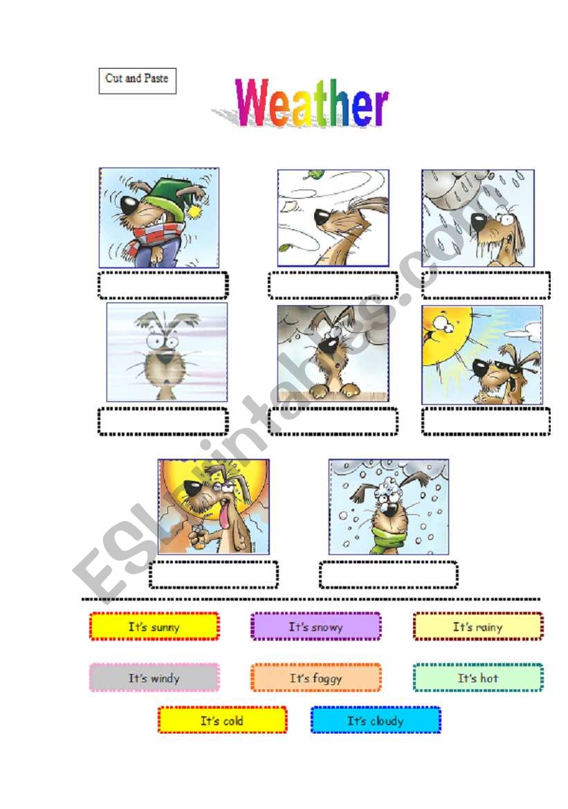 weather dog worksheet