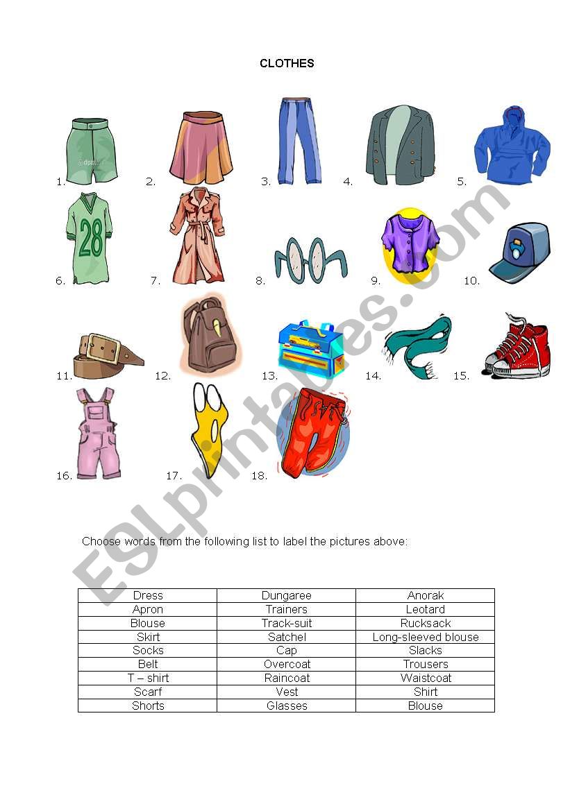 Clothes worksheet