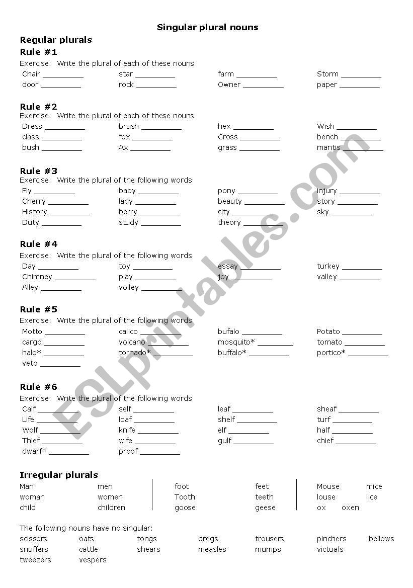 Singular plural worksheet