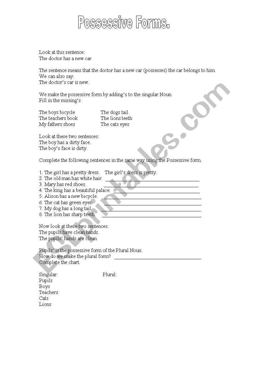 Possessive S worksheet
