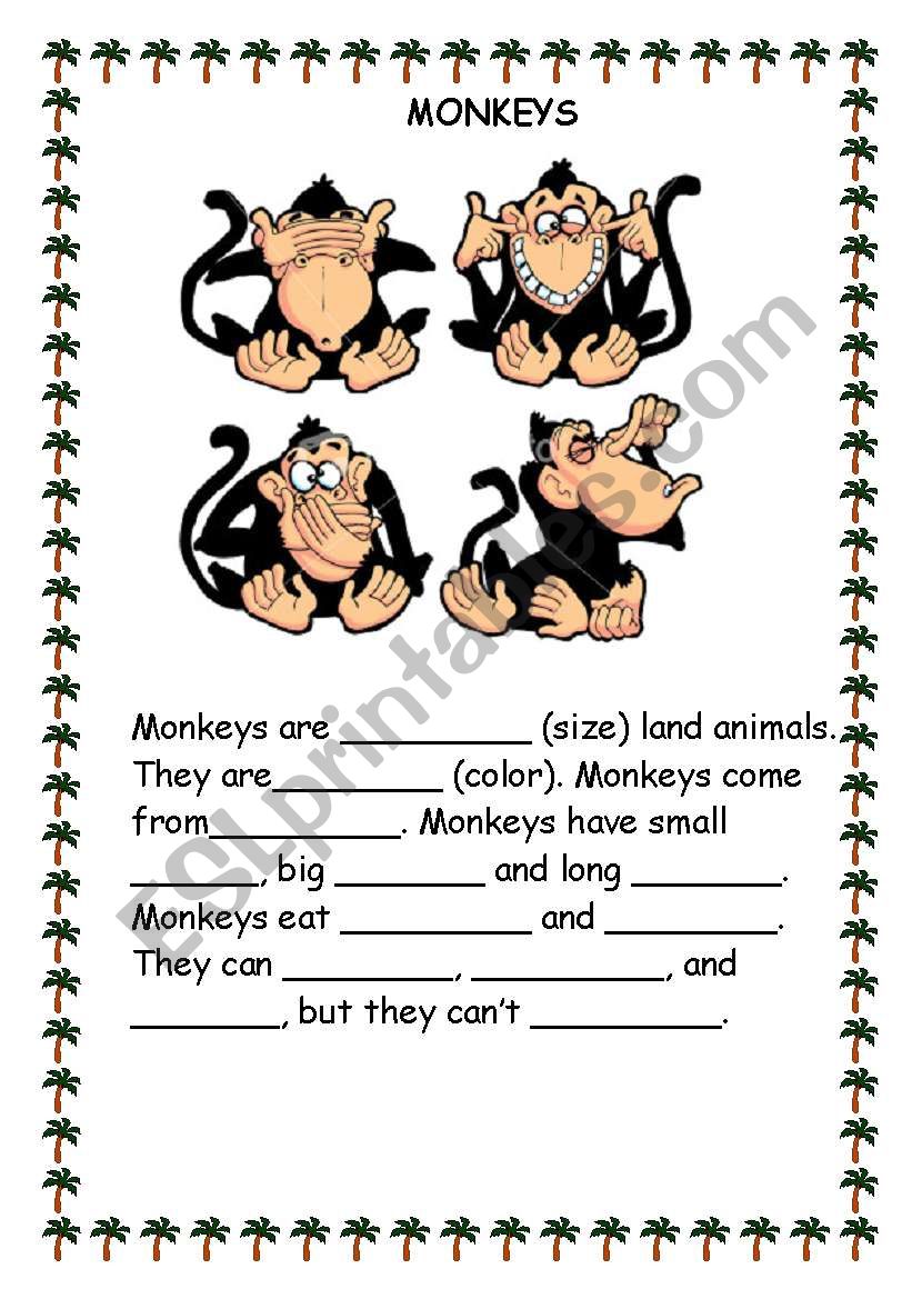 Animals - monkeys worksheet