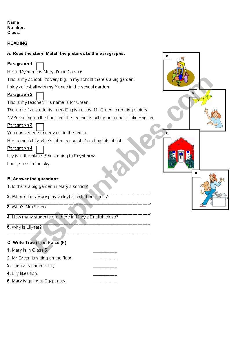 worksheet worksheet