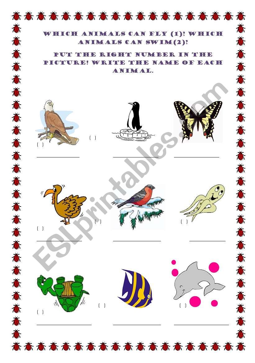 English worksheets: Which animals can fly? Which animals can swim?