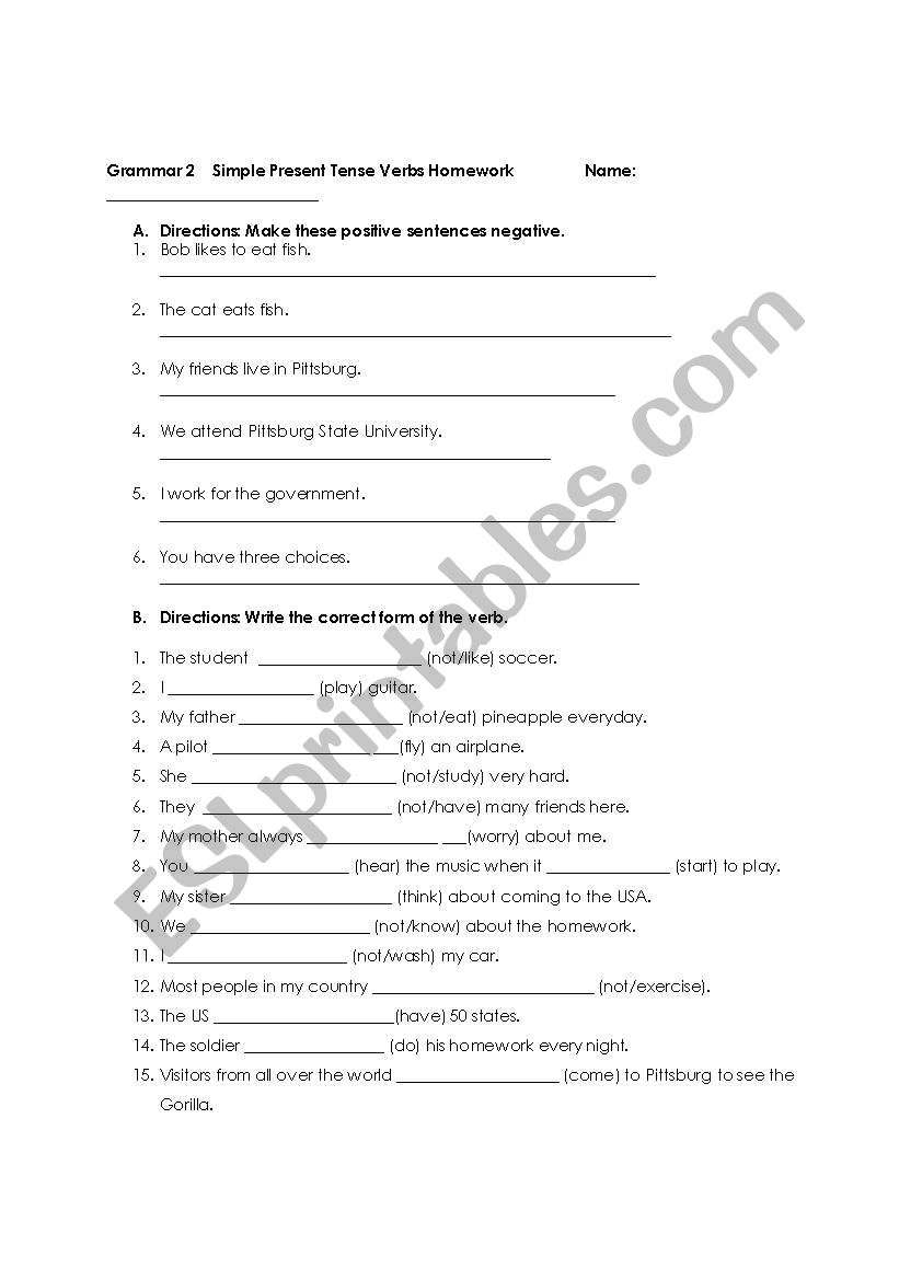 Simple Present Tense Practice Worksheet