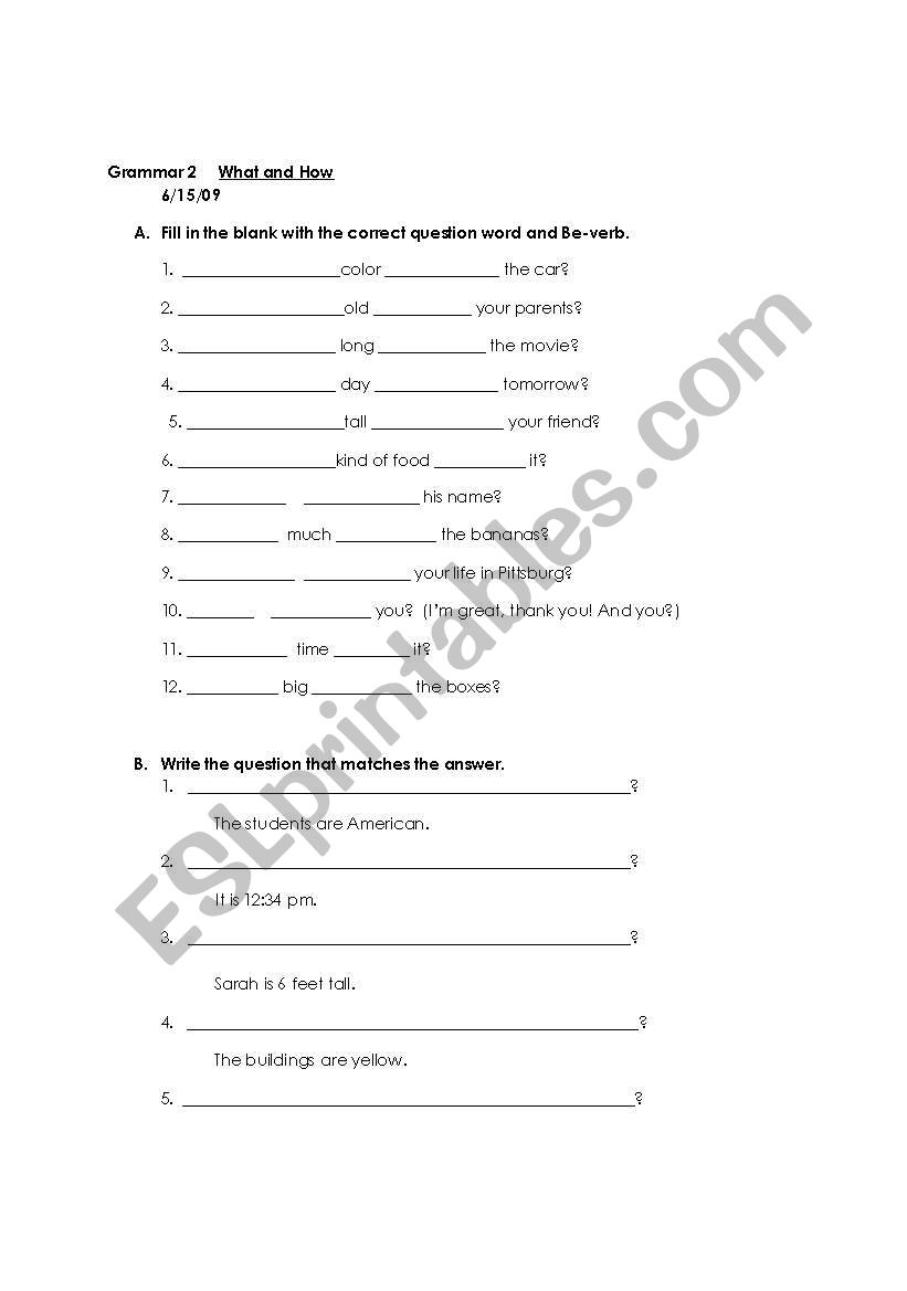 What and How Questions Worksheet