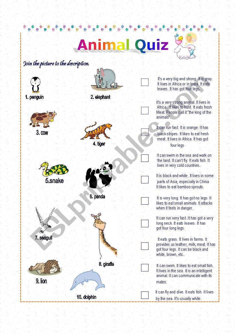 Animal Quizz worksheet
