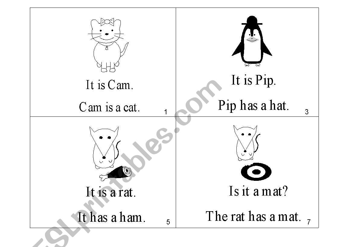 Early Reader-It is Cam worksheet