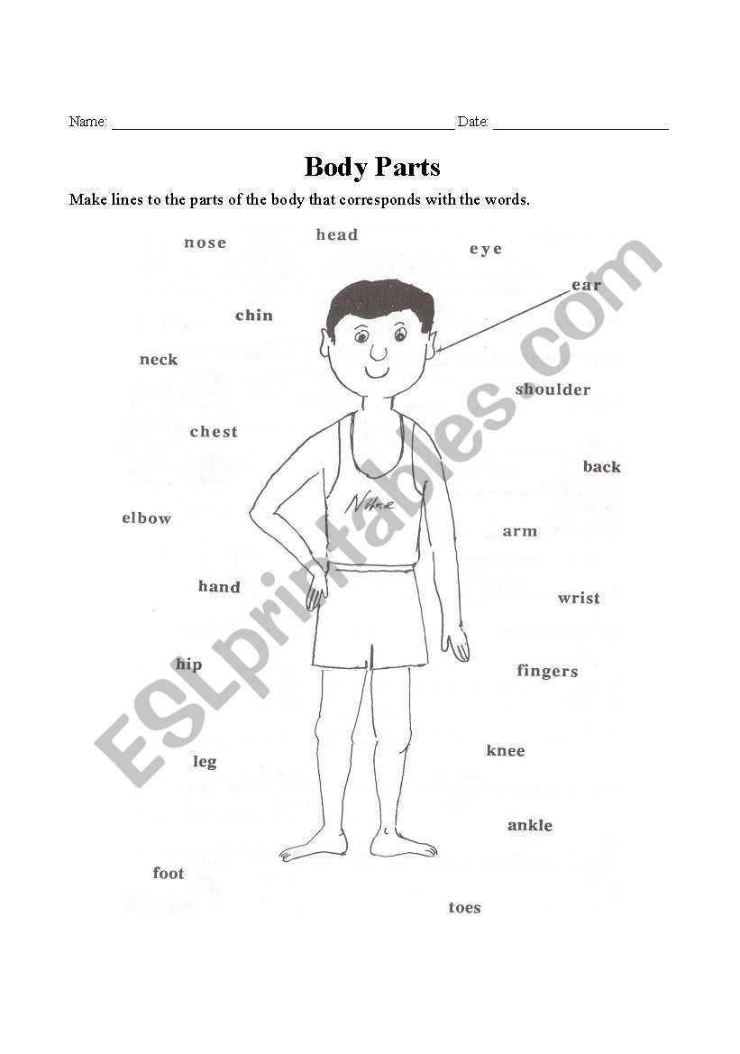 Body Parts worksheet