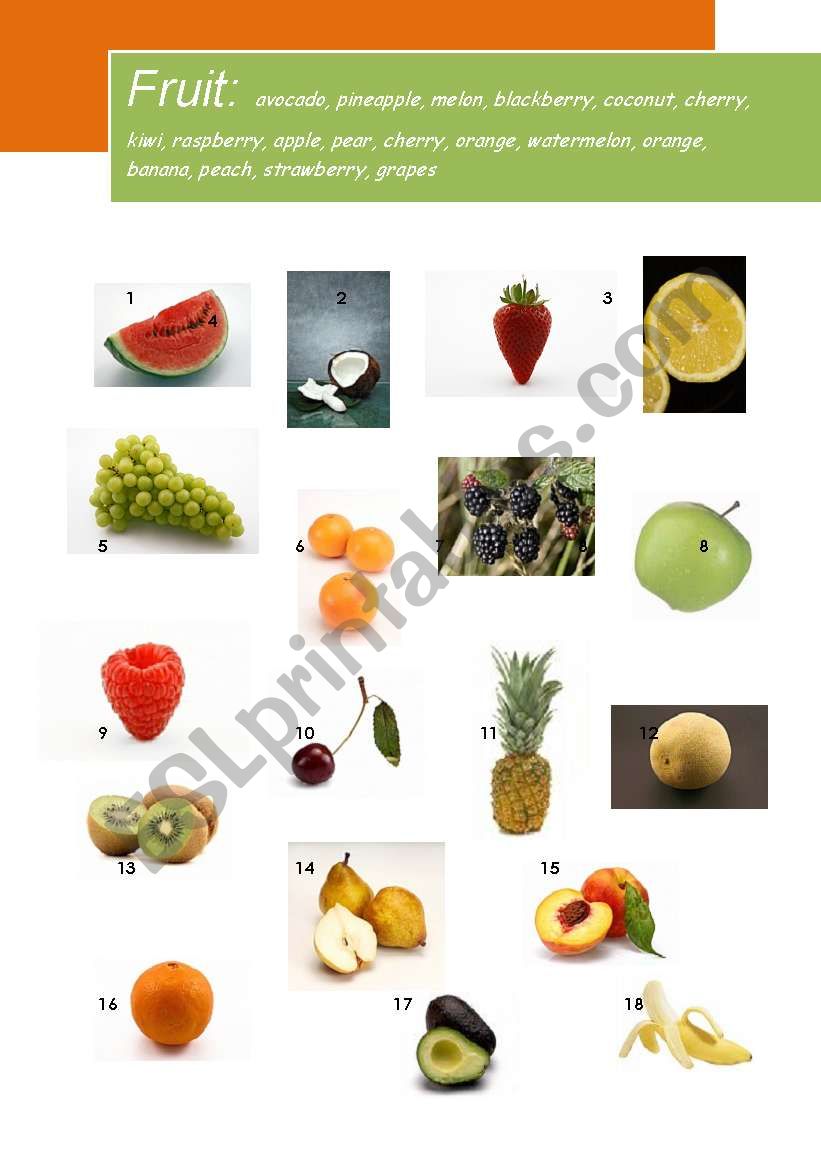 Fruit worksheet