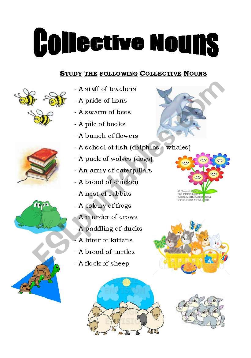 Collective Nouns worksheet