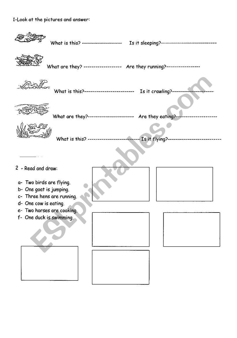 present continuous worksheet