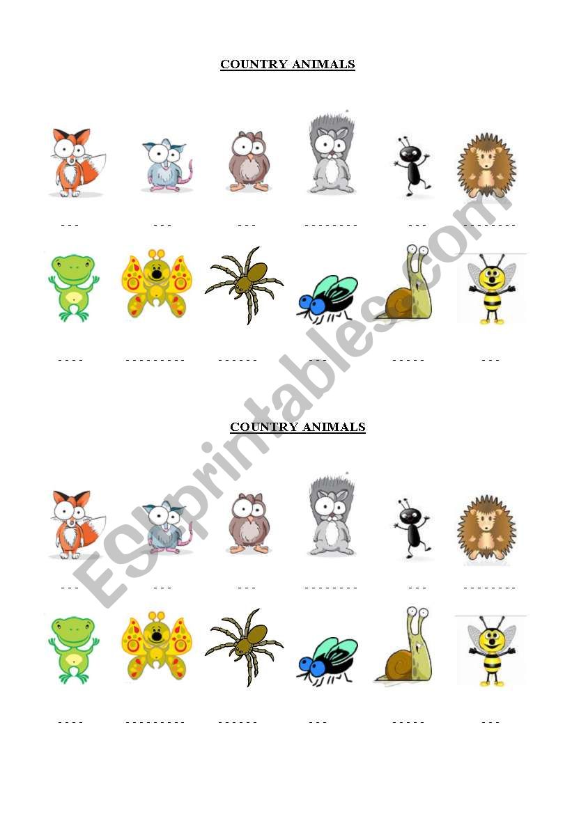 Country Animals worksheet