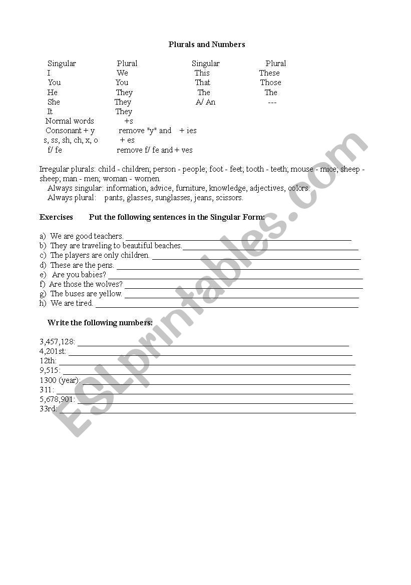 Plural and Numbers worksheet