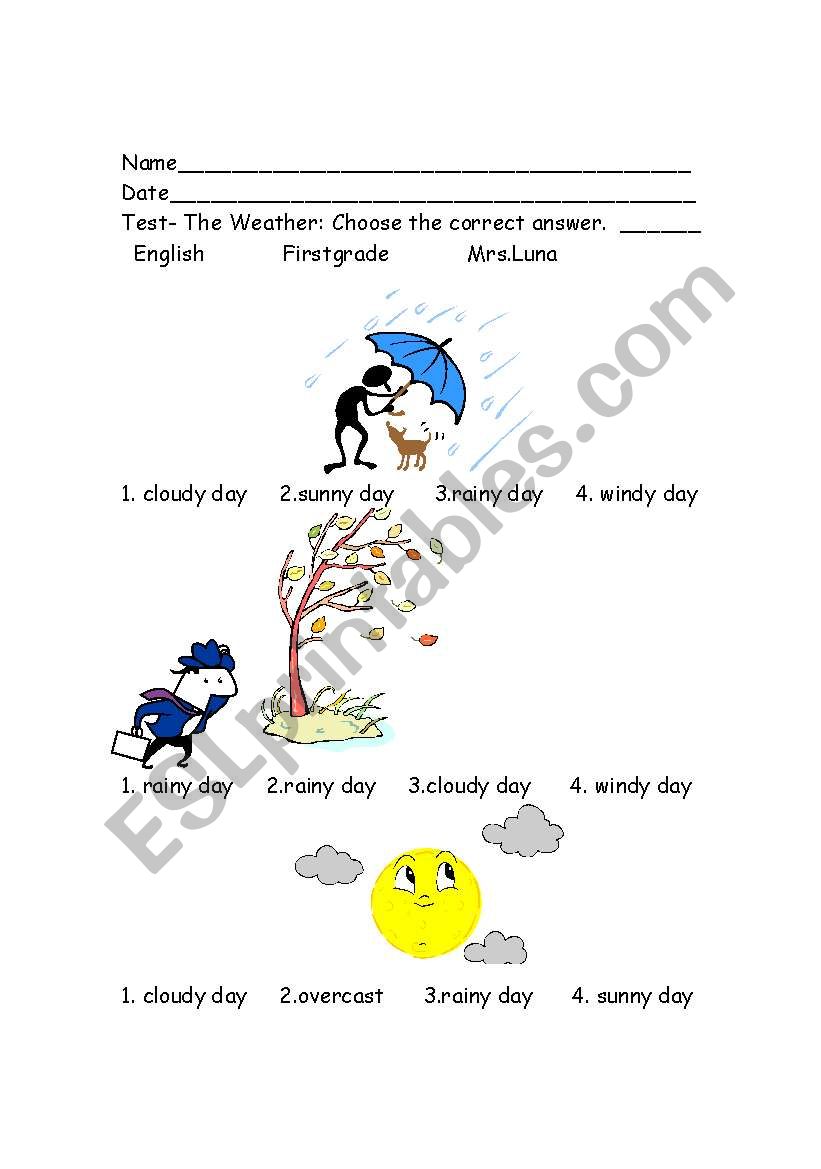 The Weather  test worksheet