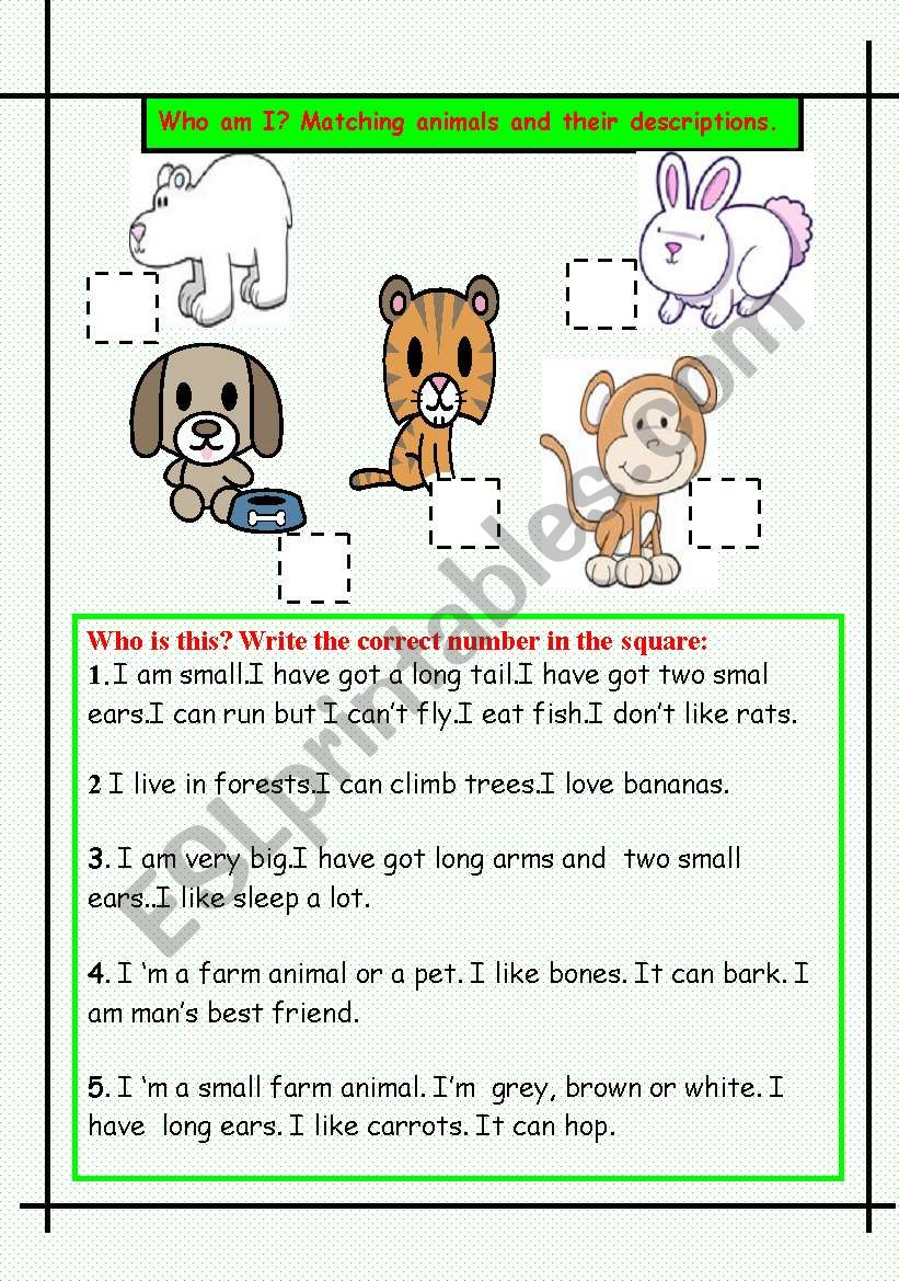 Animals and description worksheet