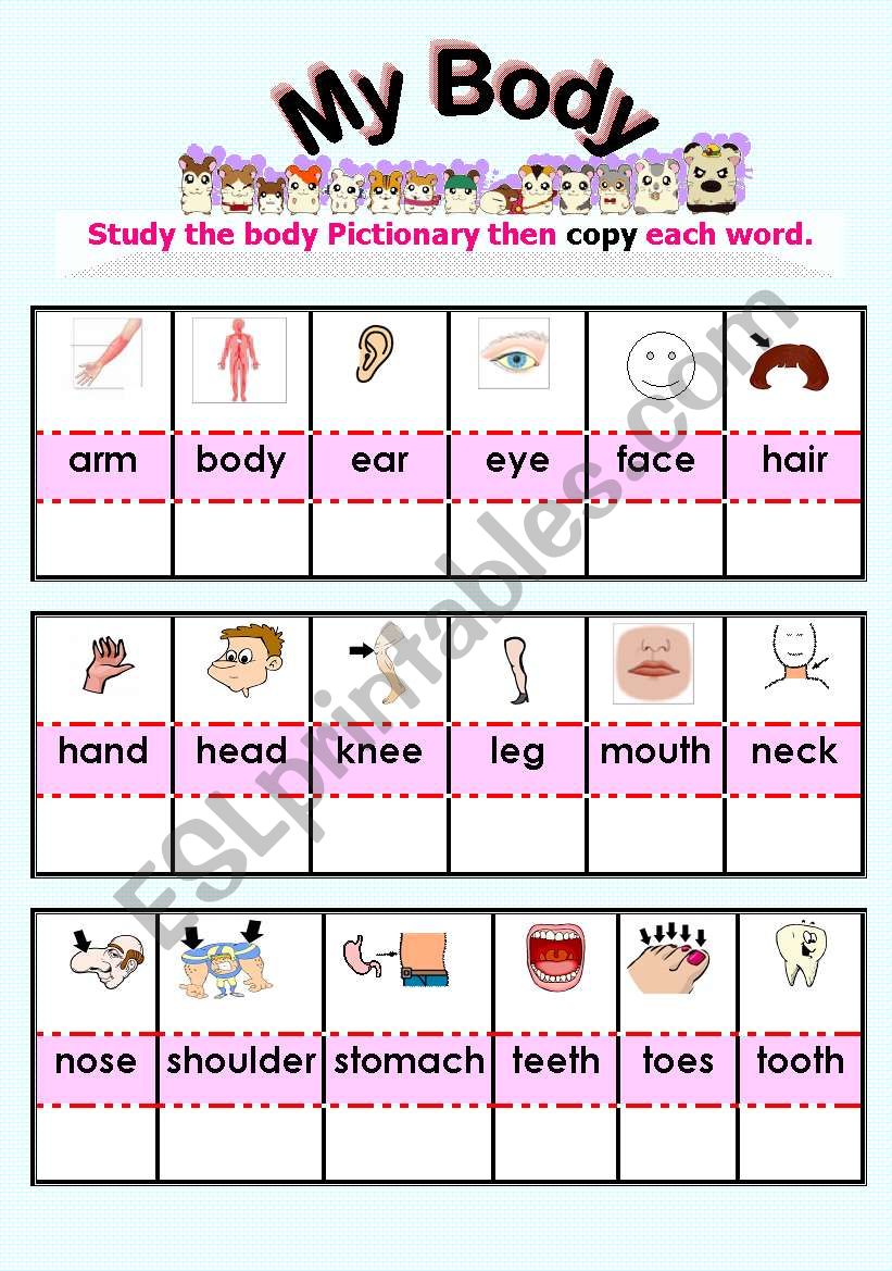 MY BODY PARTS PICTIONARY & EXC.