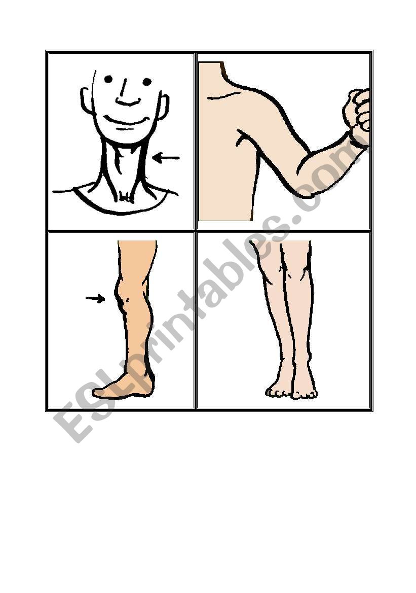 Flashcards body parts worksheet