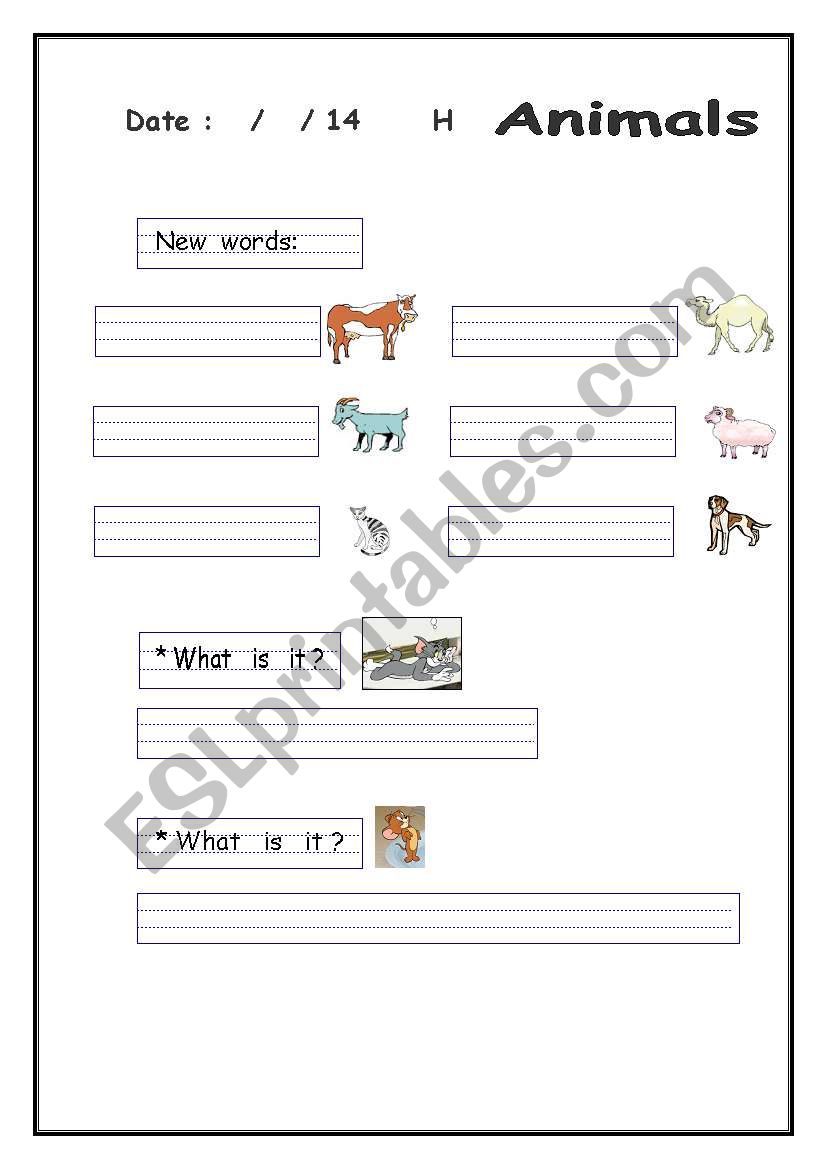 Animals worksheet