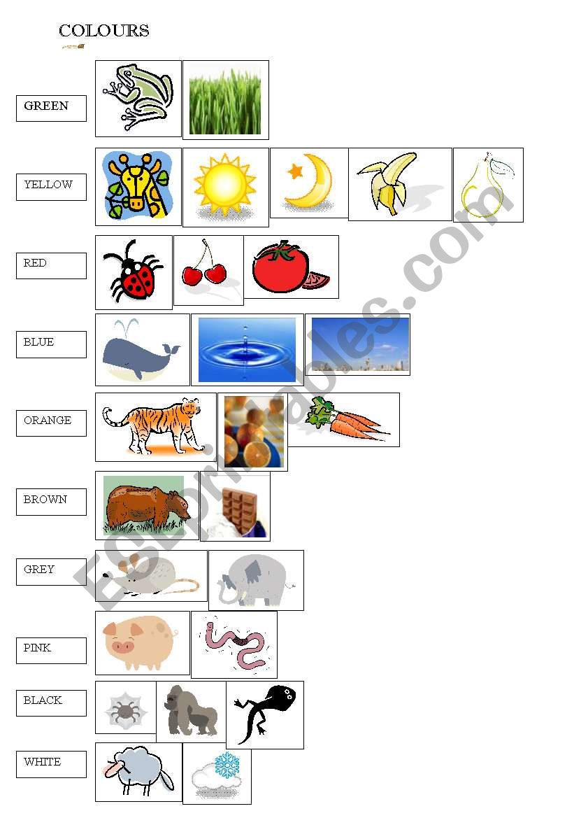 Colours /Colors worksheet