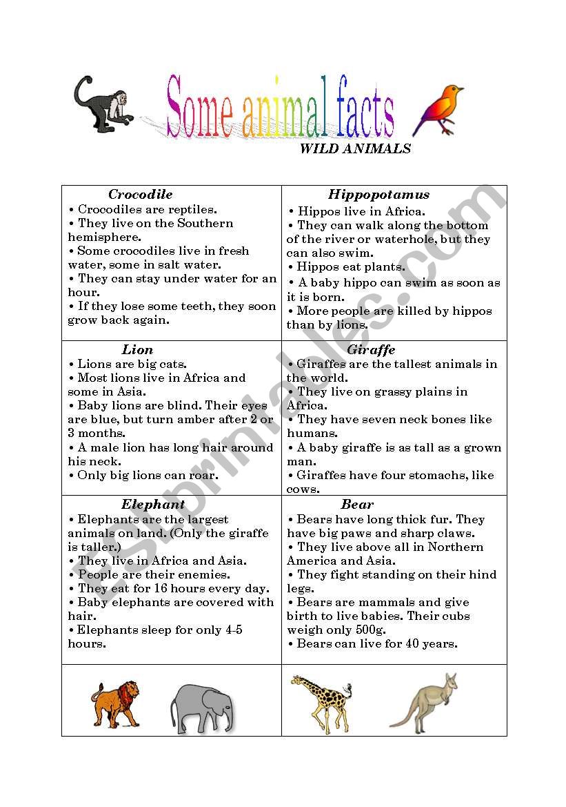 Animal facts worksheet