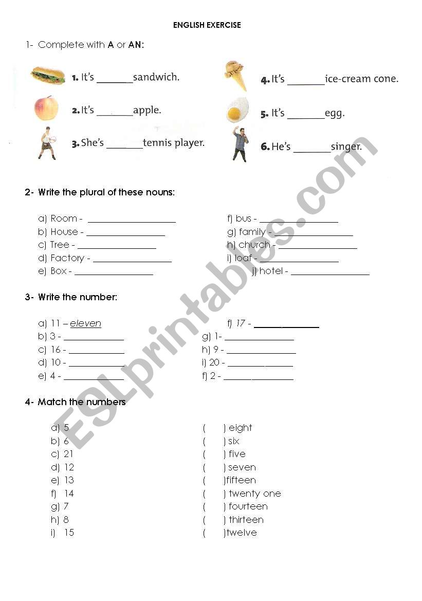 EXERCISES worksheet