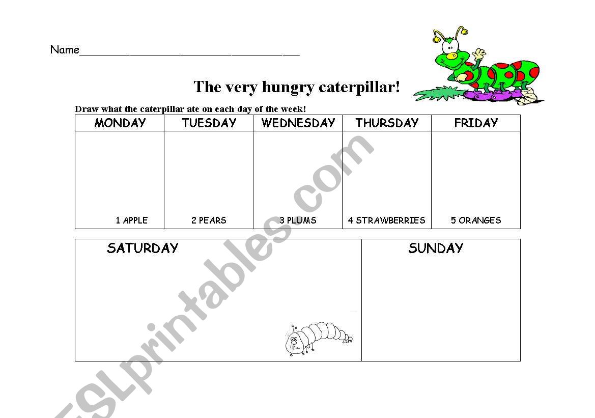 The very hungry caterpillar worksheet