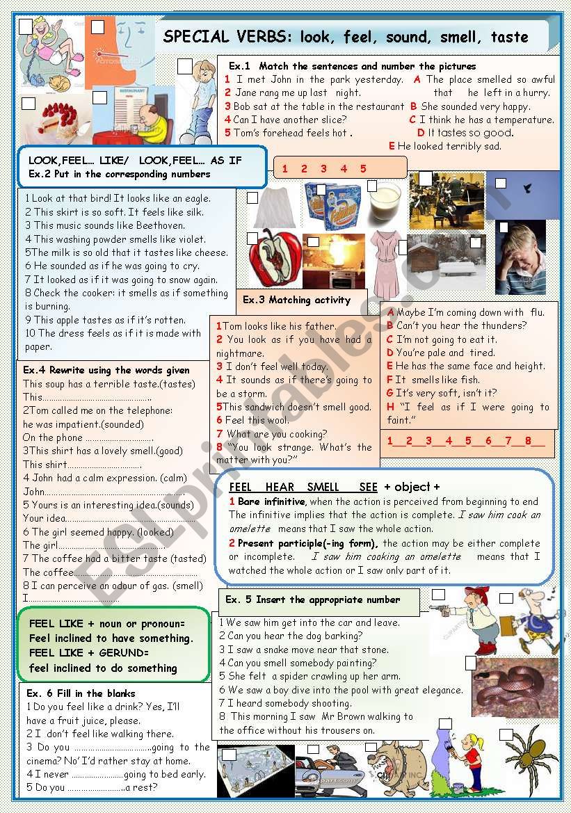 Special verbs: taste, feel, smell, look, sound