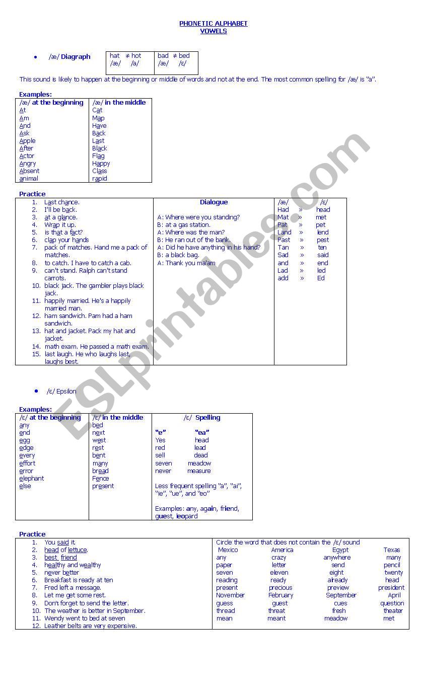 Phonetic Vowels Summary  worksheet