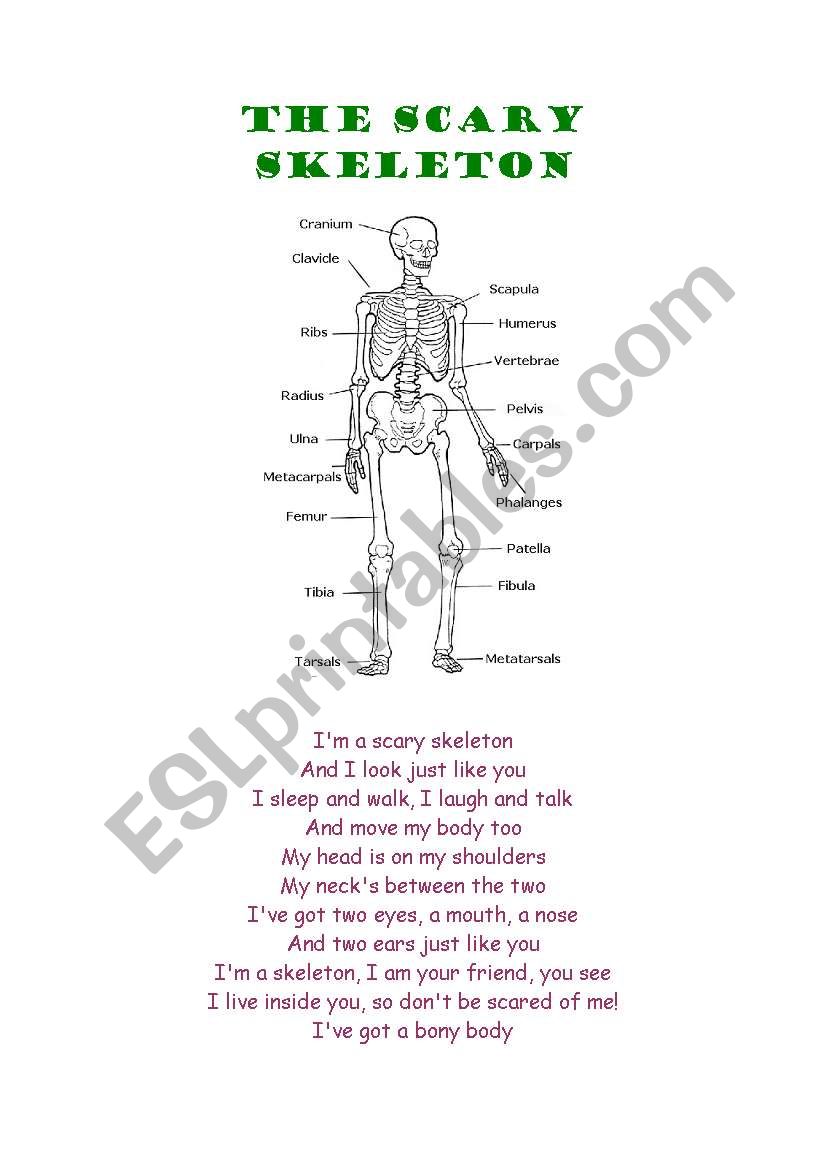 The Scary skeleton worksheet