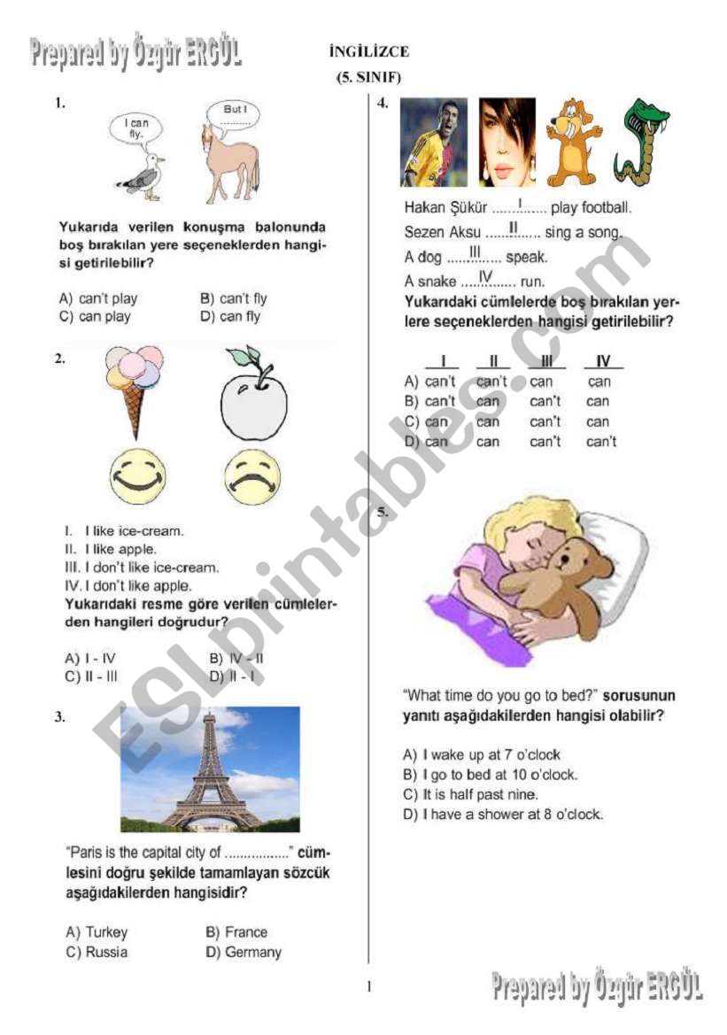 5th Classes Revision Test worksheet
