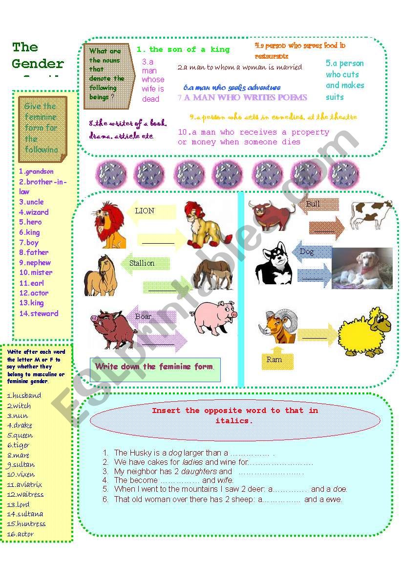 Gender of the Nouns worksheet