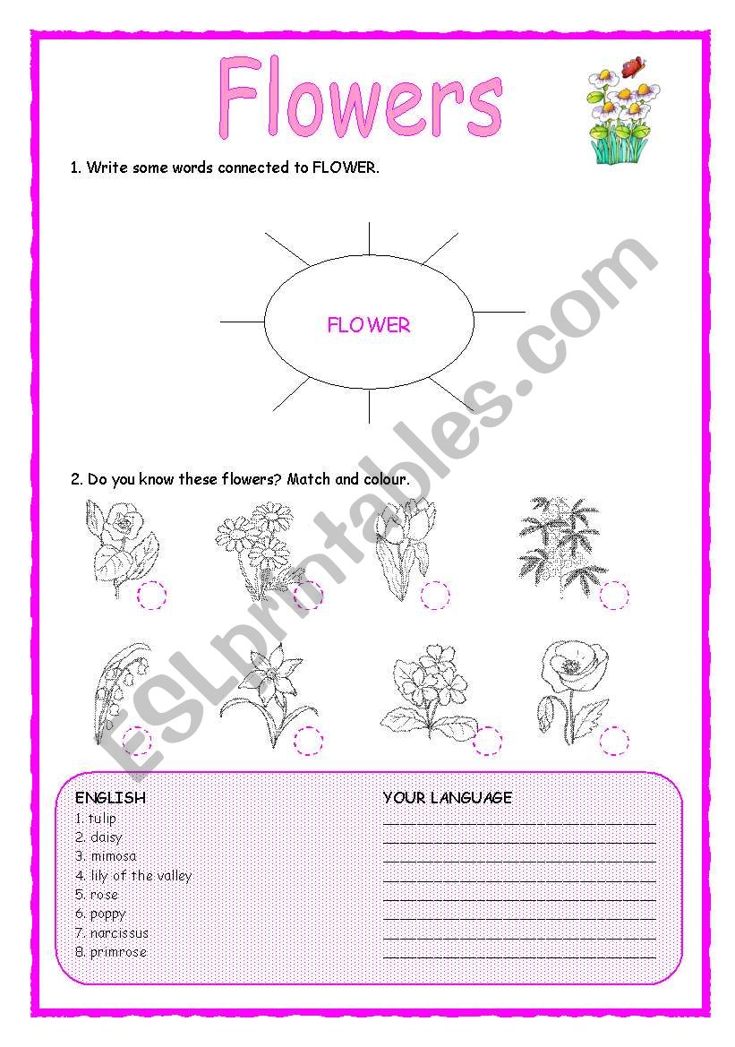 CLIL: TEACHING FLOWERS 1/3 - LESSON