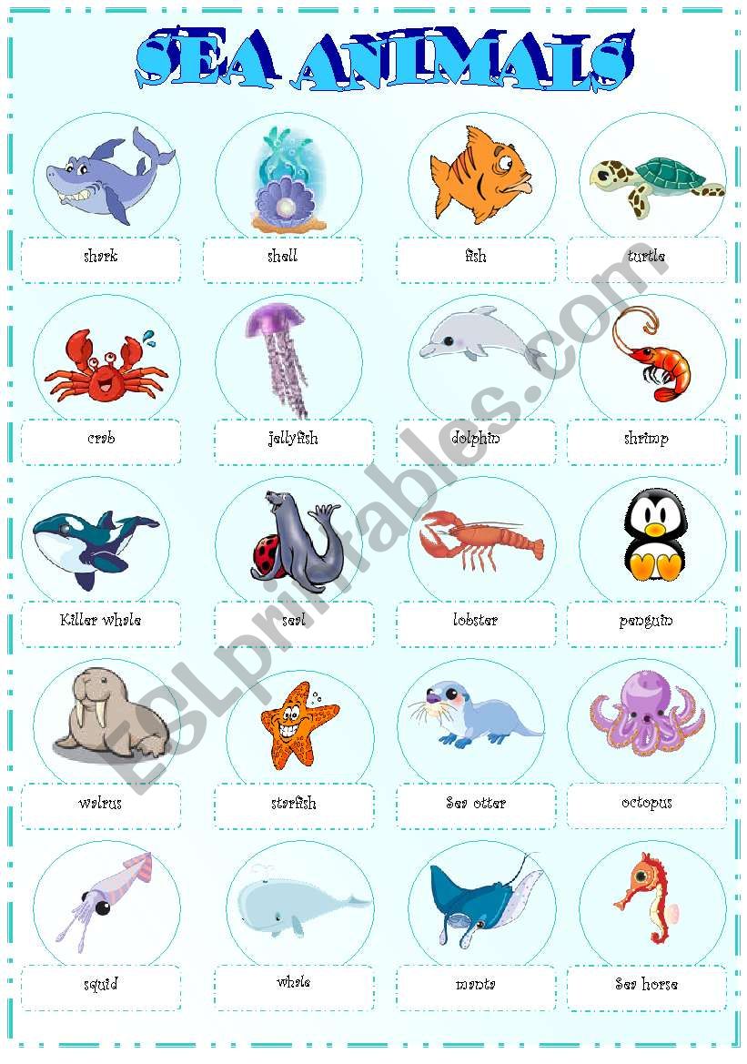 sea animals pictionary (part 1)