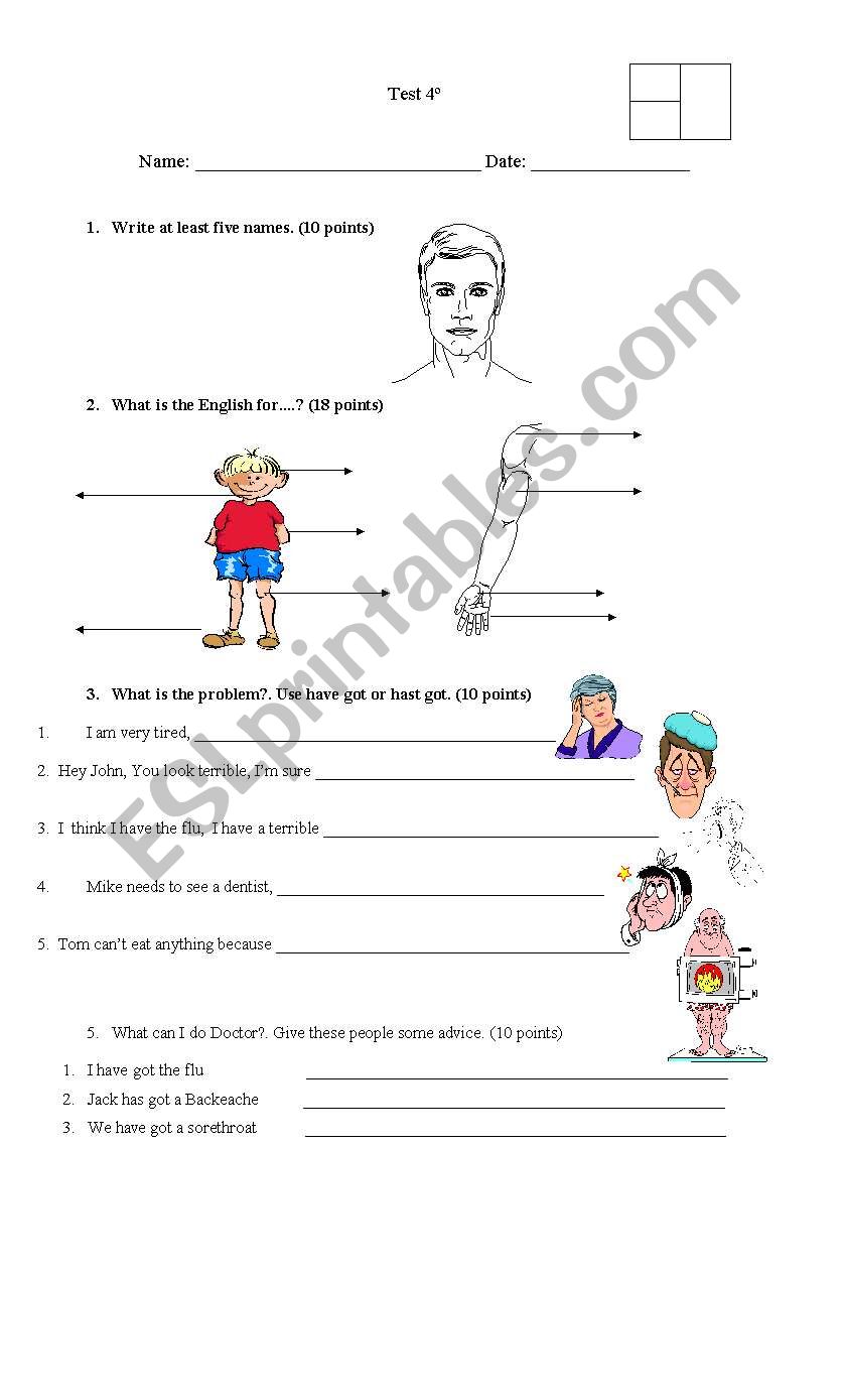 Test ( human  body) worksheet