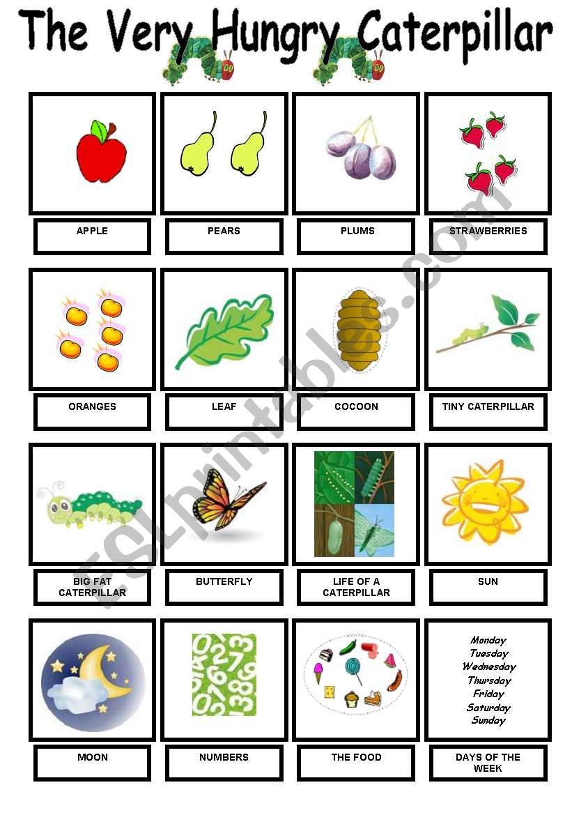 The Very Hungry Caterpillar - Vocab. Pictionary -  