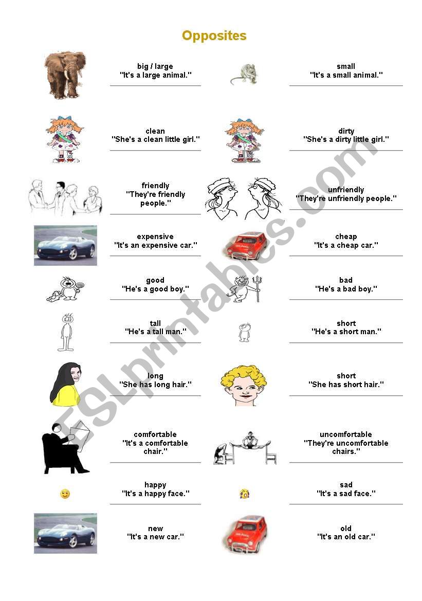 opposites worksheet