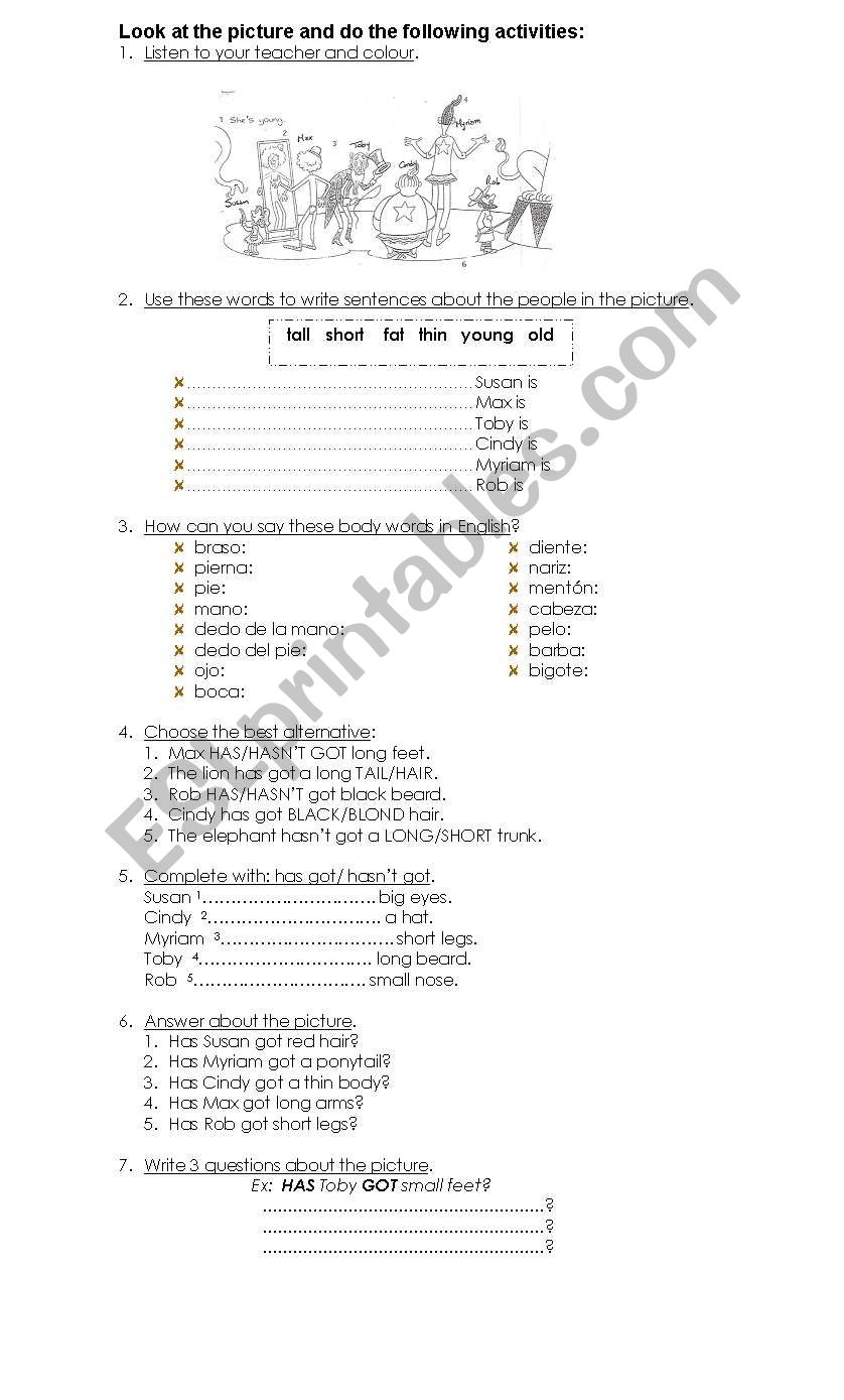 Physical description worksheet