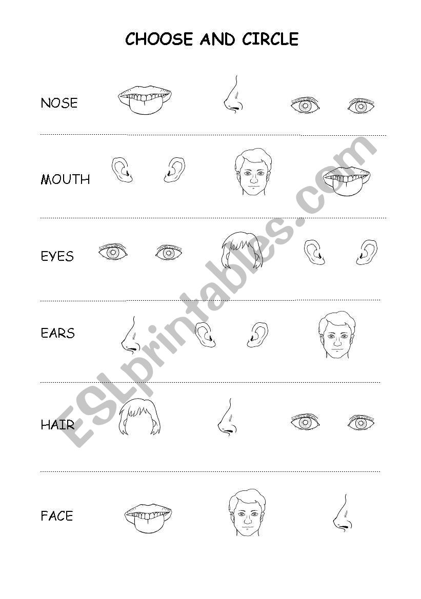 Face worksheet