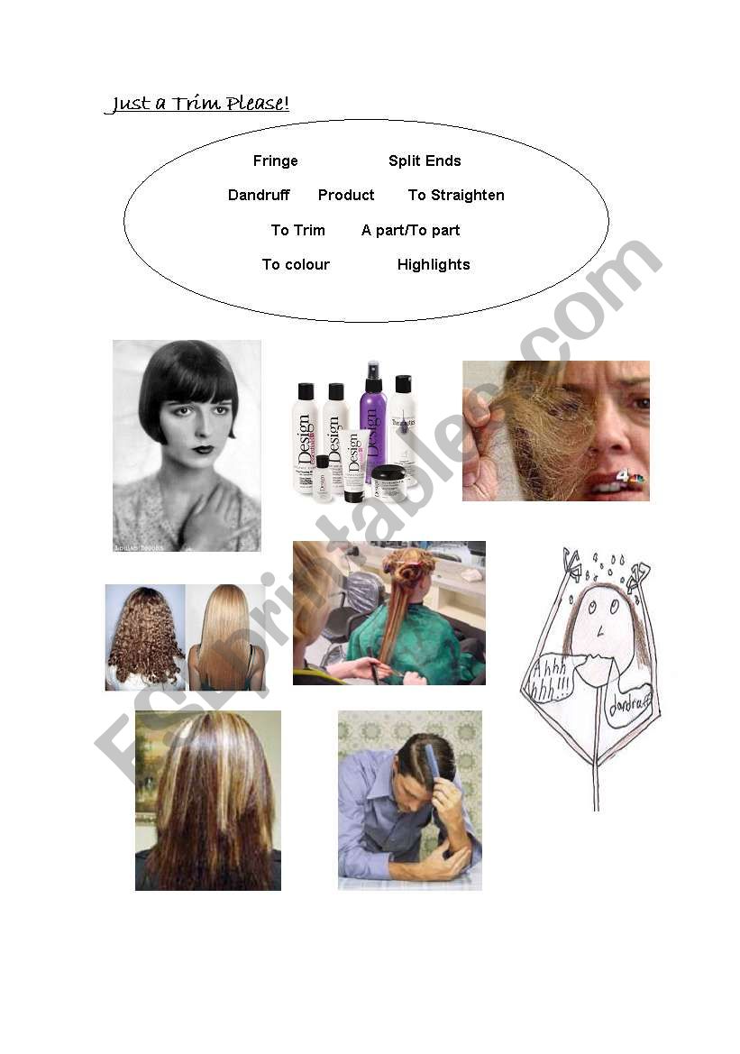 hair styling worksheet